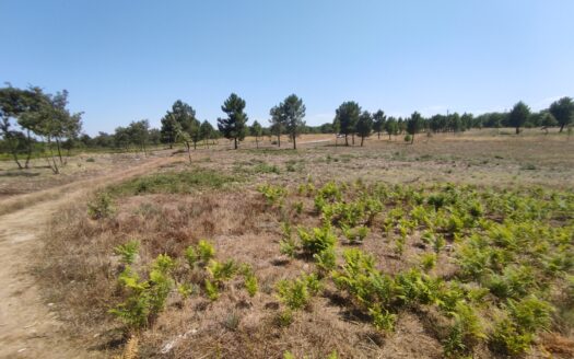 “Novidade” Terreno para Venda