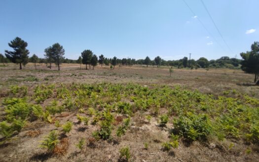 “Novidade” Terreno para Venda