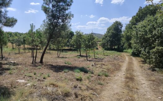 “Novidade” Terreno para Venda