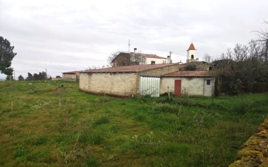 “Novidade” Terrenos e Armazém para Venda