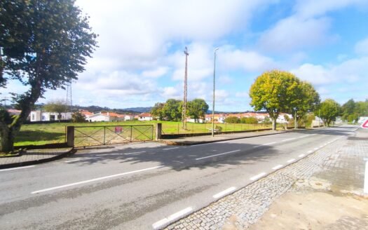 “Novidade” Terreno em Trancoso com 5000 m2