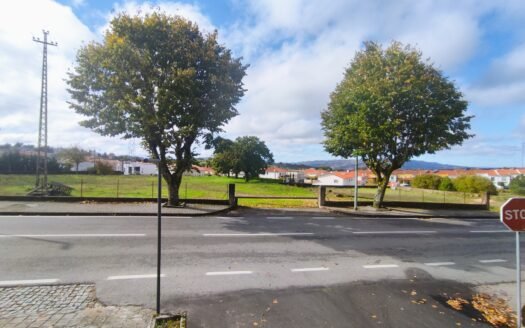 “Novidade” Terreno em Trancoso com 5000 m2